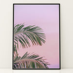 Load image into Gallery viewer, Plakat med palmeblade | Sommer og Strand Plakater | Denne plakat viser grønne palmeblade mod en pastel farvet himmel. Perfekt til dem, der elsker tropisk atmosfære.
