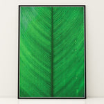 Load image into Gallery viewer, Plante plakat | Elegant print med livlige motiver | Plakat med grønne planter, botanisk kunst og naturplanter, ideel til at tilføje et organisk og livligt præg til dit hjem.

