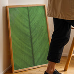 Load image into Gallery viewer, Plante plakat | Elegant print med livlige motiver | Plakat med grønne planter, botanisk kunst og naturplanter, ideel til at tilføje et organisk og livligt præg til dit hjem.
