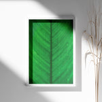 Load image into Gallery viewer, Plante plakat | Elegant print med livlige motiver | Plakat med grønne planter, botanisk kunst og naturplanter, ideel til at tilføje et organisk og livligt præg til dit hjem.
