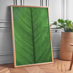 Load image into Gallery viewer, Plante plakat | Elegant print med livlige motiver | Plakat med grønne planter, botanisk kunst og naturplanter, ideel til at tilføje et organisk og livligt præg til dit hjem.
