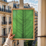 Load image into Gallery viewer, Plante plakat | Elegant print med livlige motiver | Plakat med grønne planter, botanisk kunst og naturplanter, ideel til at tilføje et organisk og livligt præg til dit hjem.
