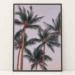 Load image into Gallery viewer, Plakat med palmer og himmel | Sommer og Strand Plakater | Denne plakat viser flere høje palmer med grønne fronds mod en pastel farvet himmel. Perfekt til dem, der elsker tropiske omgivelser.
