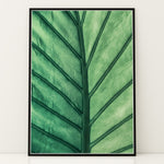 Load image into Gallery viewer, Plante print | Frodig plakat til stuen | Plakat med grønne planter, botanisk kunst og naturplanter, ideel til at tilføje et organisk og livligt præg til dit hjem.
