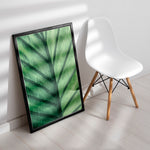 Load image into Gallery viewer, Plante print | Frodig plakat til stuen | Plakat med grønne planter, botanisk kunst og naturplanter, ideel til at tilføje et organisk og livligt præg til dit hjem.

