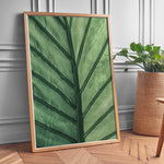Load image into Gallery viewer, Plante print | Frodig plakat til stuen | Plakat med grønne planter, botanisk kunst og naturplanter, ideel til at tilføje et organisk og livligt præg til dit hjem.

