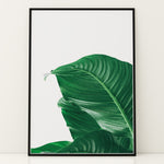 Load image into Gallery viewer, Plante plakat | Skøn print med planter og blomster | Plakat med grønne planter, botanisk kunst og naturplanter, ideel til at tilføje et organisk og livligt præg til dit hjem.
