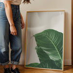 Load image into Gallery viewer, Plante plakat | Skøn print med planter og blomster | Plakat med grønne planter, botanisk kunst og naturplanter, ideel til at tilføje et organisk og livligt præg til dit hjem.

