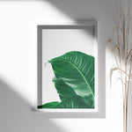 Load image into Gallery viewer, Plante plakat | Skøn print med planter og blomster | Plakat med grønne planter, botanisk kunst og naturplanter, ideel til at tilføje et organisk og livligt præg til dit hjem.
