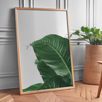 Load image into Gallery viewer, Plante plakat | Skøn print med planter og blomster | Plakat med grønne planter, botanisk kunst og naturplanter, ideel til at tilføje et organisk og livligt præg til dit hjem.
