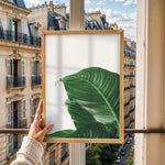 Load image into Gallery viewer, Plante plakat | Skøn print med planter og blomster | Plakat med grønne planter, botanisk kunst og naturplanter, ideel til at tilføje et organisk og livligt præg til dit hjem.
