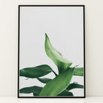 Load image into Gallery viewer, Plante print | Stilfuld plakat der lyser rummet op | Plakat med grønne planter, botanisk kunst og naturplanter, ideel til at tilføje et organisk og livligt præg til dit hjem.
