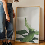 Load image into Gallery viewer, Plante print | Stilfuld plakat der lyser rummet op | Plakat med grønne planter, botanisk kunst og naturplanter, ideel til at tilføje et organisk og livligt præg til dit hjem.
