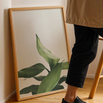 Load image into Gallery viewer, Plante print | Stilfuld plakat der lyser rummet op | Plakat med grønne planter, botanisk kunst og naturplanter, ideel til at tilføje et organisk og livligt præg til dit hjem.

