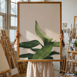 Load image into Gallery viewer, Plante print | Stilfuld plakat der lyser rummet op | Plakat med grønne planter, botanisk kunst og naturplanter, ideel til at tilføje et organisk og livligt præg til dit hjem.
