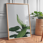 Load image into Gallery viewer, Plante print | Stilfuld plakat der lyser rummet op | Plakat med grønne planter, botanisk kunst og naturplanter, ideel til at tilføje et organisk og livligt præg til dit hjem.
