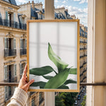Load image into Gallery viewer, Plante print | Stilfuld plakat der lyser rummet op | Plakat med grønne planter, botanisk kunst og naturplanter, ideel til at tilføje et organisk og livligt præg til dit hjem.
