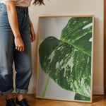 Load image into Gallery viewer, Plante plakat | Detaljeret print til moderne indretning | Plakat med grønne planter, botanisk kunst og naturplanter, ideel til at tilføje et organisk og livligt præg til dit hjem.

