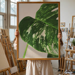 Load image into Gallery viewer, Plante plakat | Detaljeret print til moderne indretning | Plakat med grønne planter, botanisk kunst og naturplanter, ideel til at tilføje et organisk og livligt præg til dit hjem.
