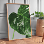 Load image into Gallery viewer, Plante plakat | Detaljeret print til moderne indretning | Plakat med grønne planter, botanisk kunst og naturplanter, ideel til at tilføje et organisk og livligt præg til dit hjem.

