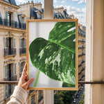 Load image into Gallery viewer, Plante plakat | Detaljeret print til moderne indretning | Plakat med grønne planter, botanisk kunst og naturplanter, ideel til at tilføje et organisk og livligt præg til dit hjem.
