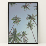 Load image into Gallery viewer, Plakat med palmer | Sommer og Strand Plakater | Denne plakat viser høje palmer set nedefra mod en gradient af lyseblå og mørkere himmel. Perfekt til dem, der elsker tropiske omgivelser.
