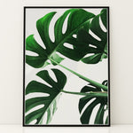 Load image into Gallery viewer, Plante plakat | Smukt print med harmoniske farver | Plakat med grønne planter, botanisk kunst og naturplanter, ideel til at tilføje et organisk og livligt præg til dit hjem.
