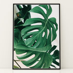 Load image into Gallery viewer, Plante print | Kunstnerisk plakat til ethvert hjem | Plakat med grønne planter, botanisk kunst og naturplanter, ideel til at tilføje et organisk og livligt præg til dit hjem.
