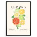 Load image into Gallery viewer, Illustration of colorful citrus fruits including lemons, limes, and grapefruits with green leaves, framed in black – modern lemon kitchen wall art plakat.
