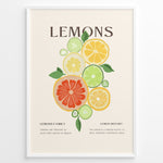 Load image into Gallery viewer, Illustration of colorful citrus fruits including lemons, limes, and grapefruits with green leaves, framed in black – modern lemon kitchen wall art plakat.
