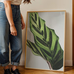 Load image into Gallery viewer, Plante plakat | Frodigt print med naturlige elementer | Plakat med grønne planter, botanisk kunst og naturplanter, ideel til at tilføje et organisk og livligt præg til dit hjem.
