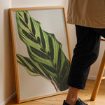 Load image into Gallery viewer, Plante plakat | Frodigt print med naturlige elementer | Plakat med grønne planter, botanisk kunst og naturplanter, ideel til at tilføje et organisk og livligt præg til dit hjem.
