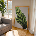 Load image into Gallery viewer, Plante plakat | Frodigt print med naturlige elementer | Plakat med grønne planter, botanisk kunst og naturplanter, ideel til at tilføje et organisk og livligt præg til dit hjem.
