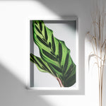 Load image into Gallery viewer, Plante plakat | Frodigt print med naturlige elementer | Plakat med grønne planter, botanisk kunst og naturplanter, ideel til at tilføje et organisk og livligt præg til dit hjem.
