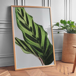 Load image into Gallery viewer, Plante plakat | Frodigt print med naturlige elementer | Plakat med grønne planter, botanisk kunst og naturplanter, ideel til at tilføje et organisk og livligt præg til dit hjem.
