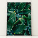 Load image into Gallery viewer, Plante print | Elegant plakat med delikate detaljer | Plakat med grønne planter, botanisk kunst og naturplanter, ideel til at tilføje et organisk og livligt præg til dit hjem.
