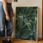 Load image into Gallery viewer, Plante print | Elegant plakat med delikate detaljer | Plakat med grønne planter, botanisk kunst og naturplanter, ideel til at tilføje et organisk og livligt præg til dit hjem.
