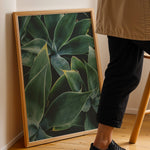 Load image into Gallery viewer, Plante print | Elegant plakat med delikate detaljer | Plakat med grønne planter, botanisk kunst og naturplanter, ideel til at tilføje et organisk og livligt præg til dit hjem.
