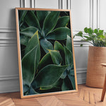 Load image into Gallery viewer, Plante print | Elegant plakat med delikate detaljer | Plakat med grønne planter, botanisk kunst og naturplanter, ideel til at tilføje et organisk og livligt præg til dit hjem.
