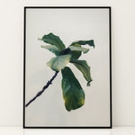 Load image into Gallery viewer, Plante plakat | Inspirerende print til dit hjem | Plakat med grønne planter, botanisk kunst og naturplanter, ideel til at tilføje et organisk og livligt præg til dit hjem.
