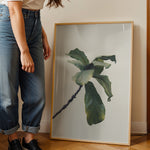 Load image into Gallery viewer, Plante plakat | Inspirerende print til dit hjem | Plakat med grønne planter, botanisk kunst og naturplanter, ideel til at tilføje et organisk og livligt præg til dit hjem.
