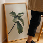 Load image into Gallery viewer, Plante plakat | Inspirerende print til dit hjem | Plakat med grønne planter, botanisk kunst og naturplanter, ideel til at tilføje et organisk og livligt præg til dit hjem.
