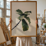 Load image into Gallery viewer, Plante plakat | Inspirerende print til dit hjem | Plakat med grønne planter, botanisk kunst og naturplanter, ideel til at tilføje et organisk og livligt præg til dit hjem.
