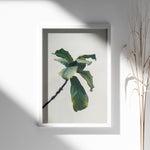 Load image into Gallery viewer, Plante plakat | Inspirerende print til dit hjem | Plakat med grønne planter, botanisk kunst og naturplanter, ideel til at tilføje et organisk og livligt præg til dit hjem.
