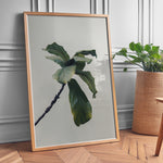Load image into Gallery viewer, Plante plakat | Inspirerende print til dit hjem | Plakat med grønne planter, botanisk kunst og naturplanter, ideel til at tilføje et organisk og livligt præg til dit hjem.
