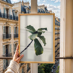 Load image into Gallery viewer, Plante plakat | Inspirerende print til dit hjem | Plakat med grønne planter, botanisk kunst og naturplanter, ideel til at tilføje et organisk og livligt præg til dit hjem.
