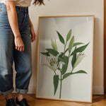 Load image into Gallery viewer, Plante print | Stilfuld plakat med grønne planter | Plakat med grønne planter, botanisk kunst og naturplanter, ideel til at tilføje et organisk og livligt præg til dit hjem.
