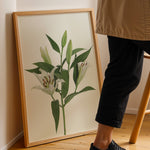 Load image into Gallery viewer, Plante print | Stilfuld plakat med grønne planter | Plakat med grønne planter, botanisk kunst og naturplanter, ideel til at tilføje et organisk og livligt præg til dit hjem.
