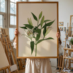 Load image into Gallery viewer, Plante print | Stilfuld plakat med grønne planter | Plakat med grønne planter, botanisk kunst og naturplanter, ideel til at tilføje et organisk og livligt præg til dit hjem.
