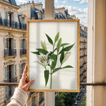 Load image into Gallery viewer, Plante print | Stilfuld plakat med grønne planter | Plakat med grønne planter, botanisk kunst og naturplanter, ideel til at tilføje et organisk og livligt præg til dit hjem.
